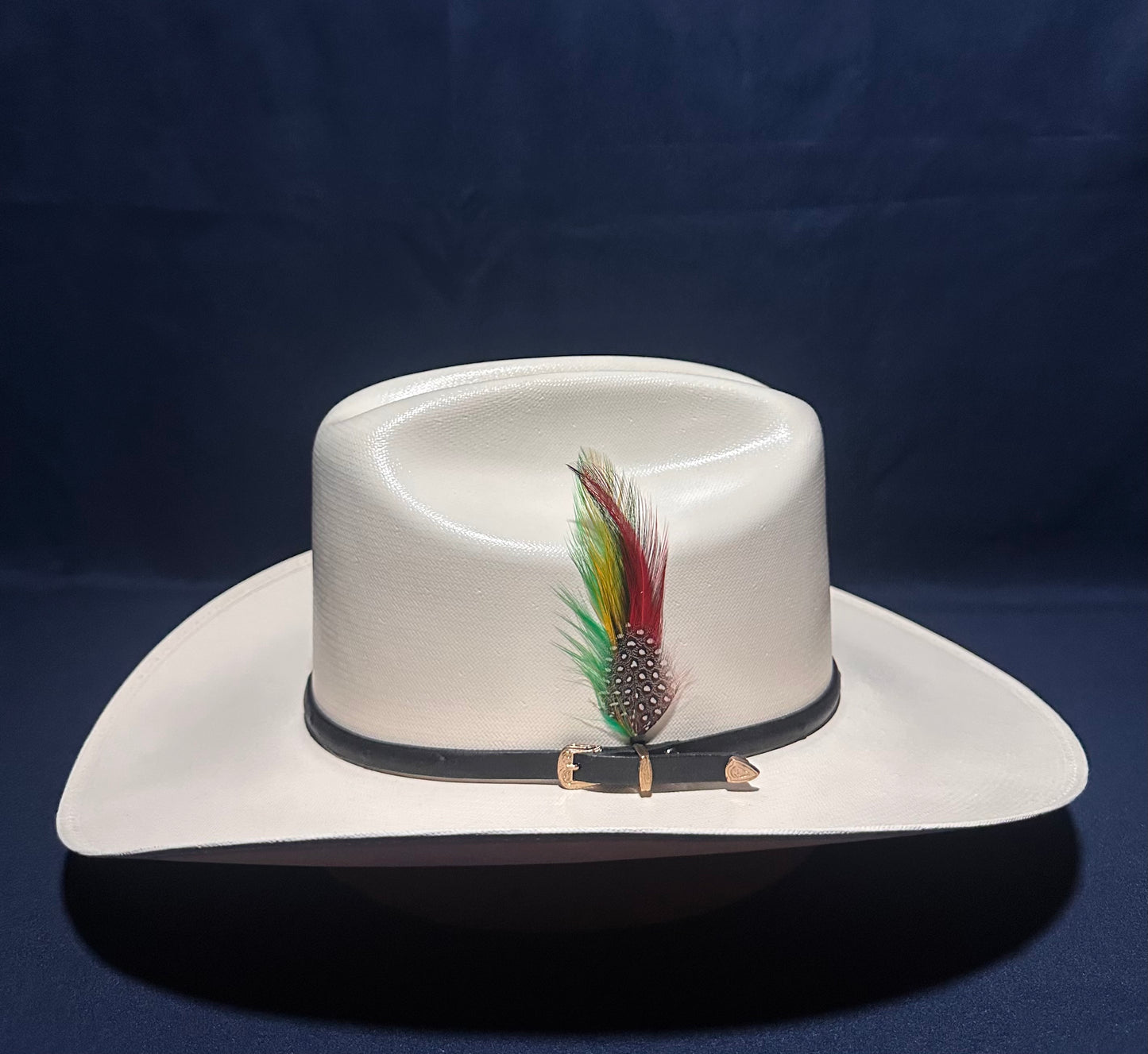 Hat Feather/Pluma Para Sombrero