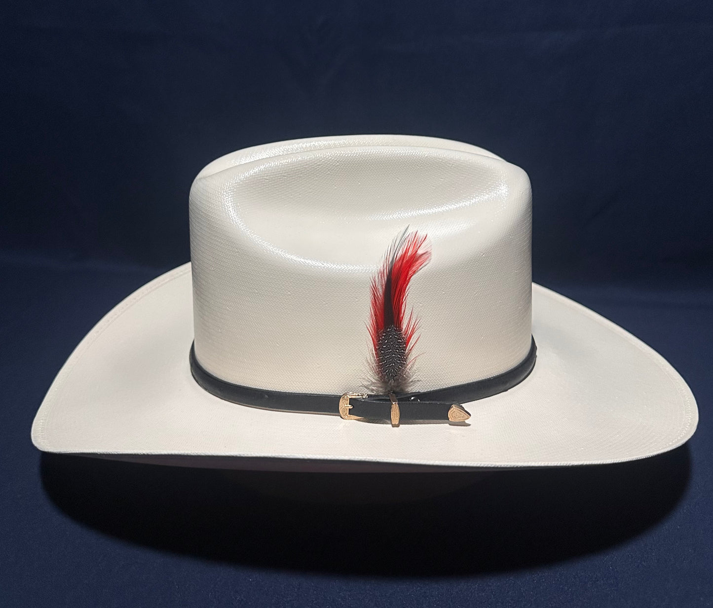 Hat Feather/Pluma Para Sombrero
