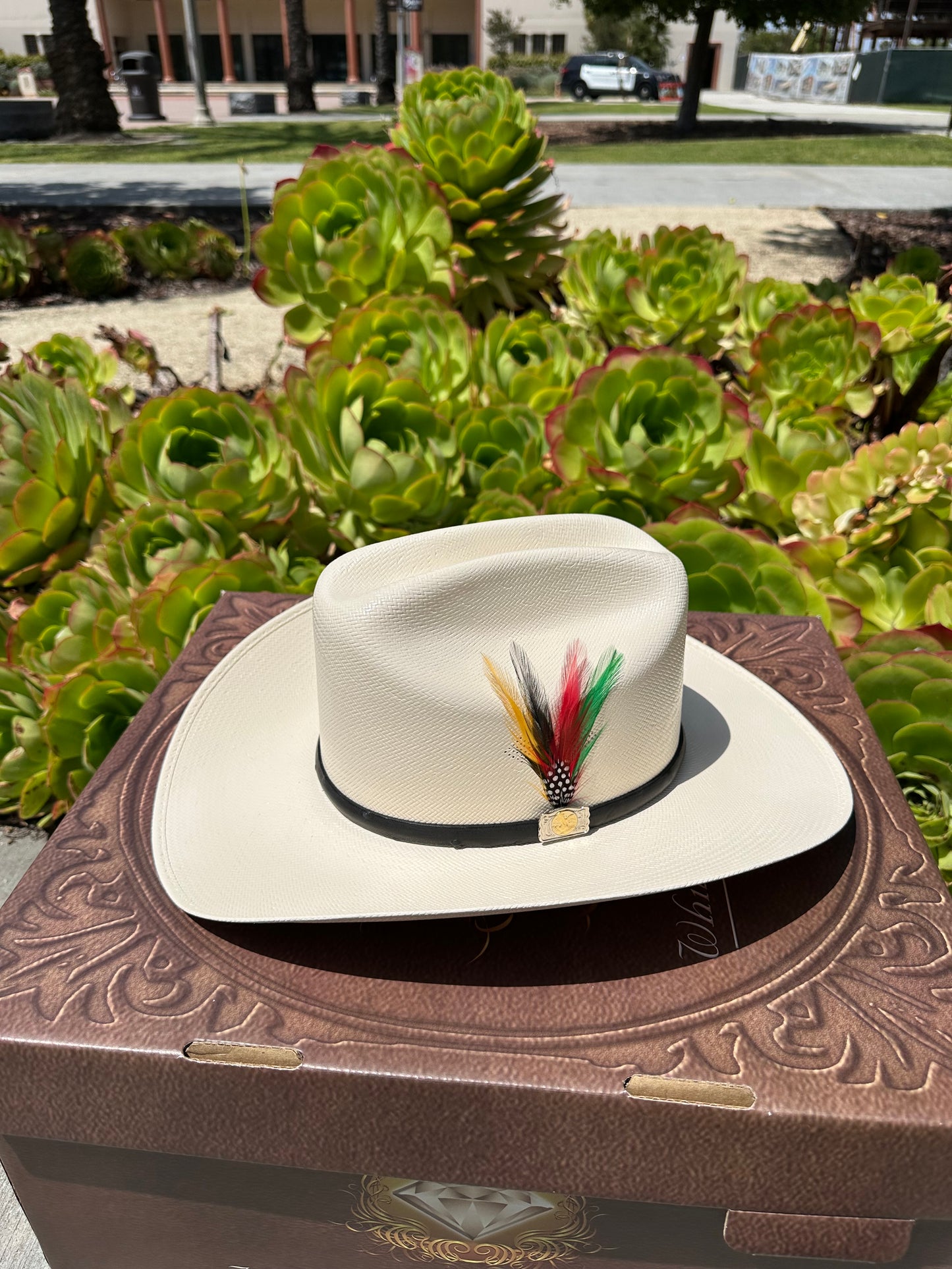 2000X Sinaloa Style Sombrero