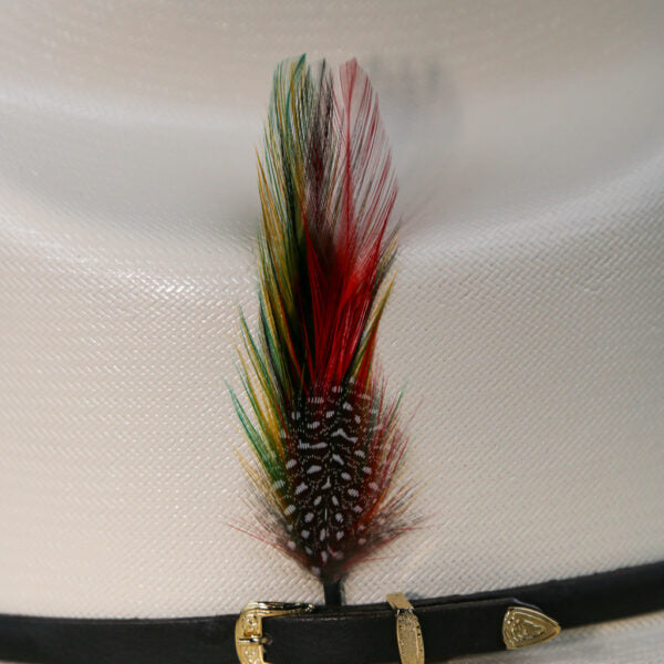 Hat Feather/Pluma Para Sombrero