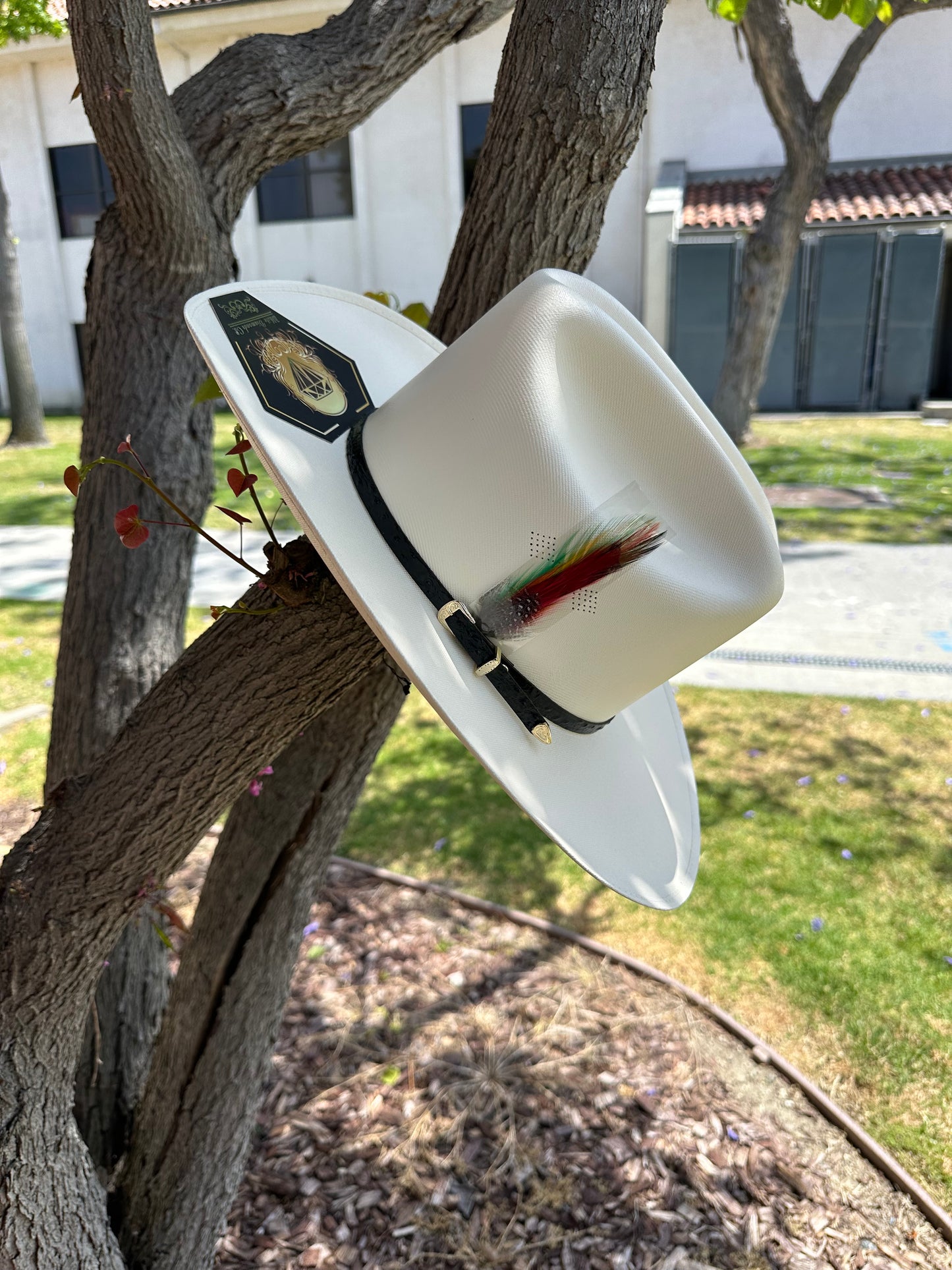 Sombrero San Judas 100X