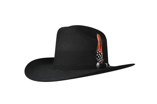 Tejana 200X Sinaloa Style